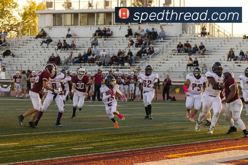 App 展示图